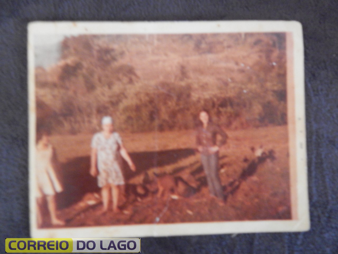 Maria Morelli Correia no centro tratando porcos na chácara da família em Vera Cruz do Oeste. A esquerda Marta e a direita Sônia Correia (prima). 1980.