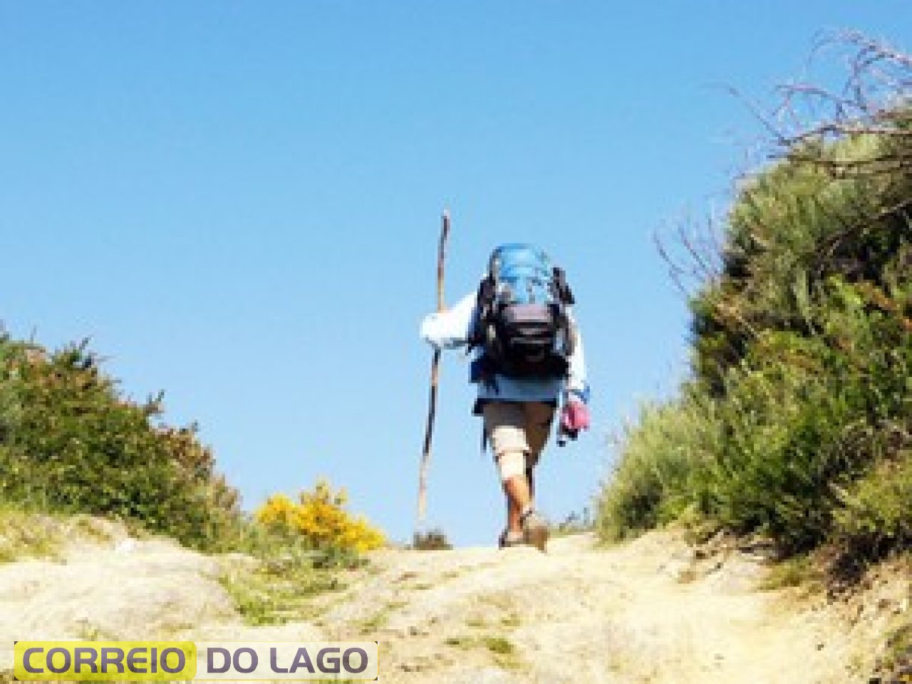 Foto: Memo Vásquez/Divulgação