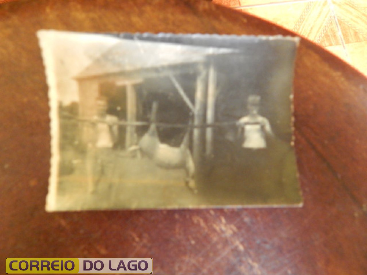 Pardo abatido por Normindo Fockink quando voltava com a esposa Leocádia de Marechal Cândido Rondon. Década de 1960.