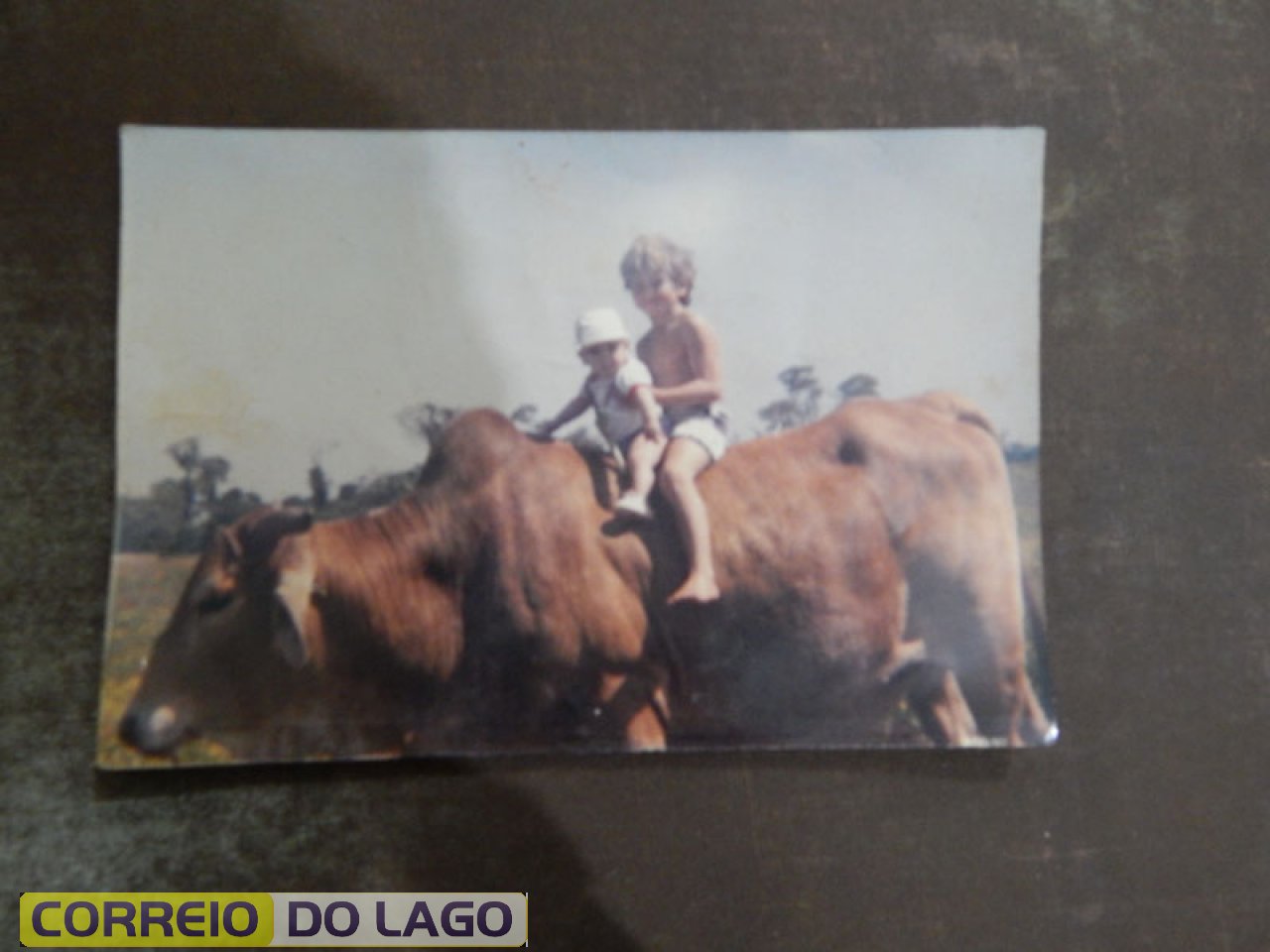 Filhos de José Carvalho da Silva sobre o boi - maior Adriano Carvalho da Silva e o menor Daniel Carvalho da Silva (atualmente funcionário da Rádio G. Lago SH).