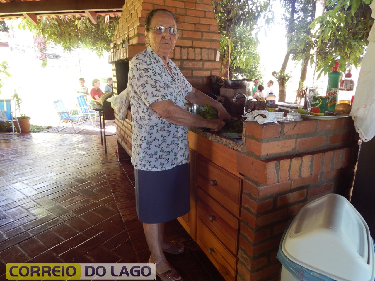 Tia Manuela M. Correia desfrutando do lazer no sítio do filho Marcio Correia. Interior de Vera Cruz do Oeste. Novembro de 2014.