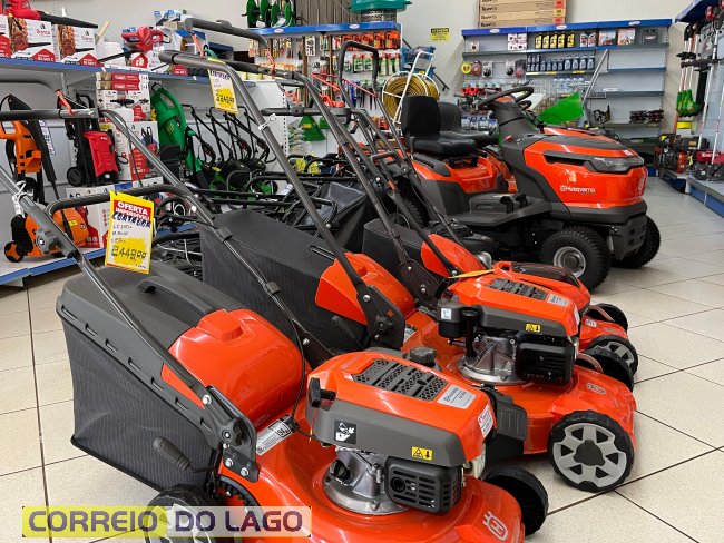 Imagens: Repórter Carla Albuquerque