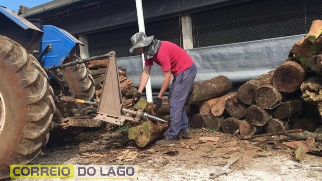 Rachador médio para cortar lenha em grandes proporções (Reprodução Youtube/Cleiton Dal Prá)