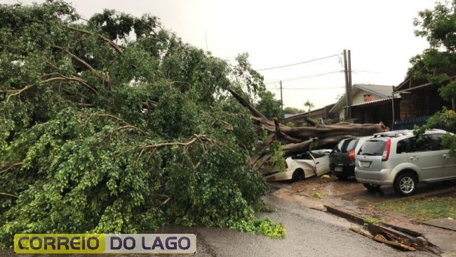 Imagens mostram danos causados por temporal em Cascavel