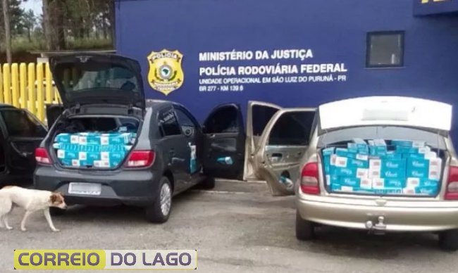 Fonte/Divulgação/PRF