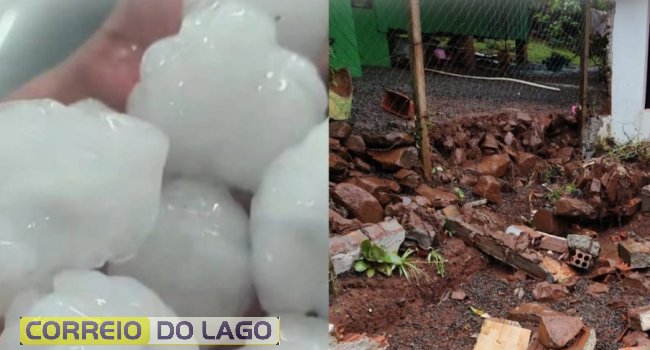 Imagens;Divulgação/Internet