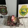 15,555 kg de maconha em Sao Miguel do Iguaçu
