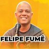 Luiz Felipe Smaniotto: Há 25 anos reabilitando joelhos, criador do Método Felipe-Fumê (reabilitação de joelhos), 100% baseado em evidências científicas. (Divulgação)